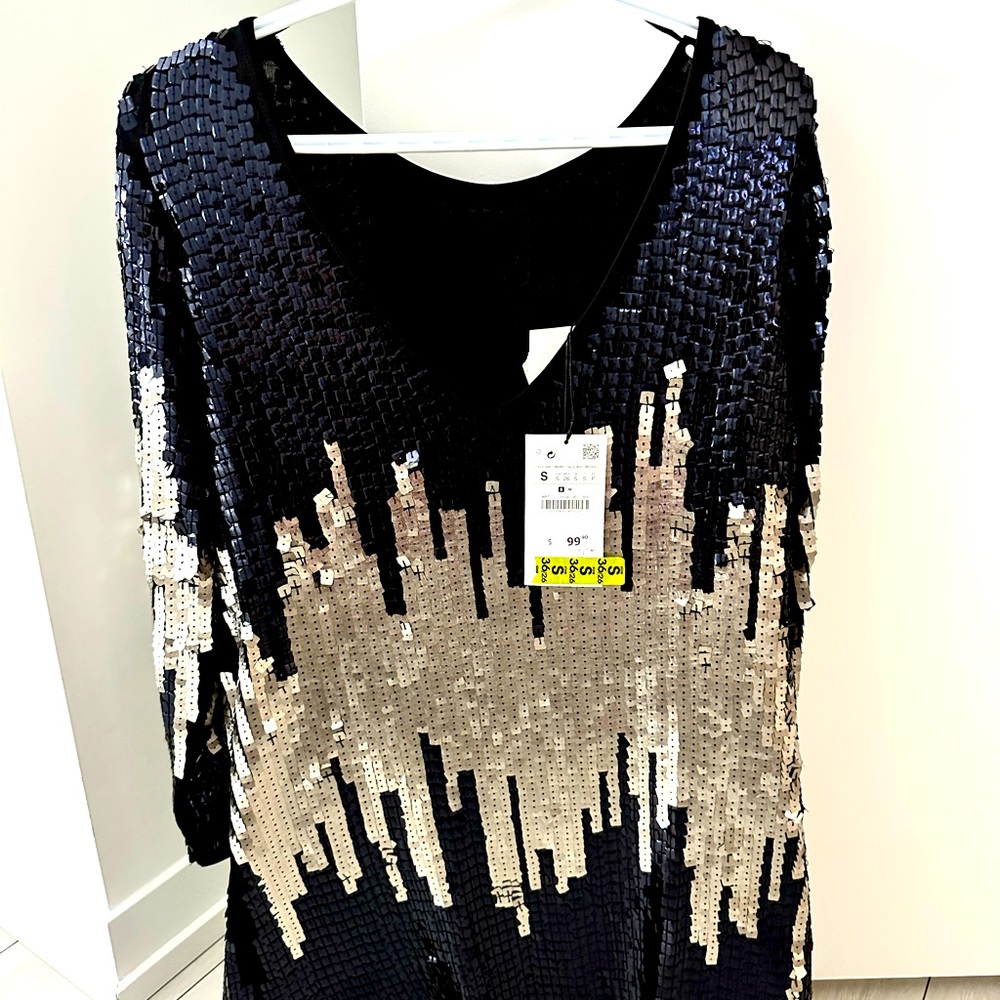 Zara sequence dress
